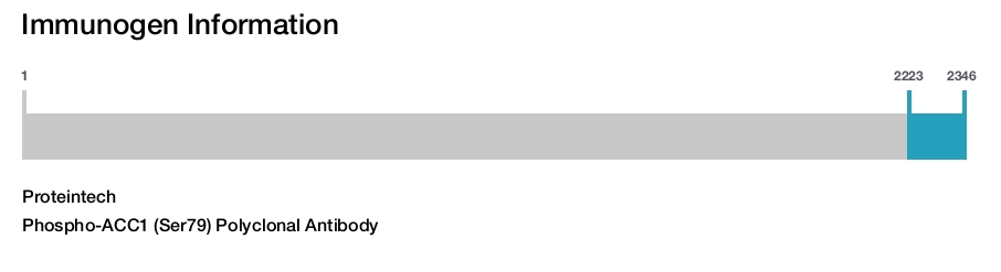 Phospho-ACC1 (Ser79) Polyclonal Antibody