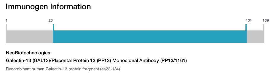 Galectin-13 (GAL13)/Placental Protein 13 (PP13) Monoclonal Antibody (PP13/1161)