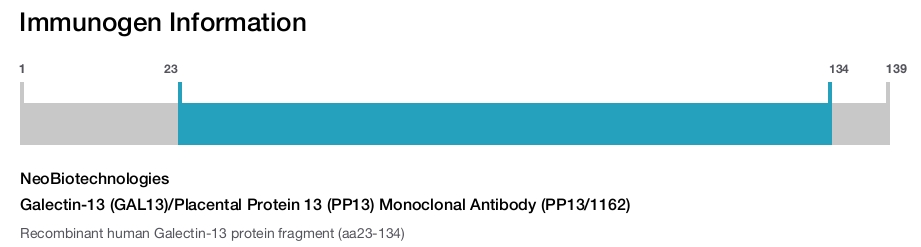Galectin-13 (GAL13)/Placental Protein 13 (PP13) Monoclonal Antibody (PP13/1162)