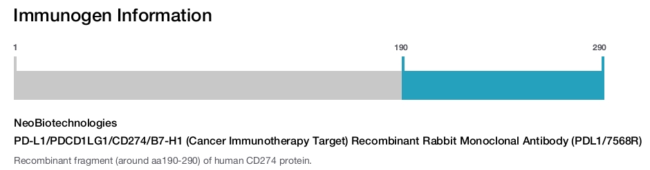 PD-L1/PDCD1LG1/CD274/B7-H1 (Cancer Immunotherapy Target) Recombinant Rabbit Monoclonal Antibody (PDL1/7568R)