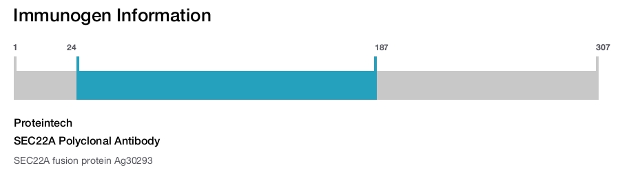 SEC22A Polyclonal Antibody