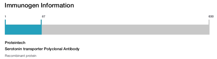 Serotonin transporter Polyclonal Antibody