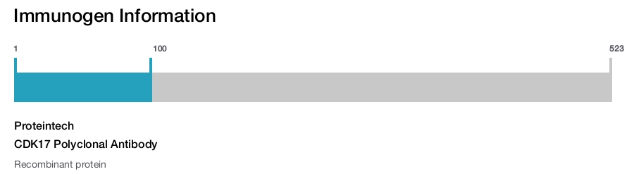 CDK17 Polyclonal Antibody
