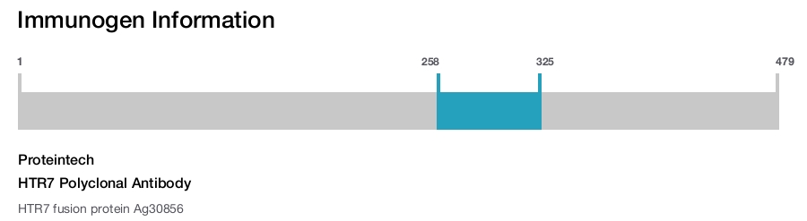 HTR7 Polyclonal Antibody