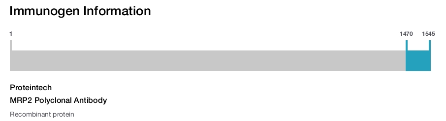 MRP2 Polyclonal Antibody