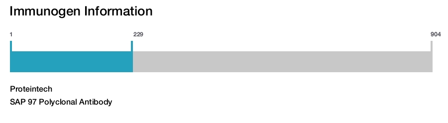 SAP 97 Polyclonal Antibody