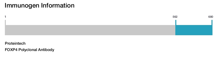 FOXP4 Polyclonal Antibody