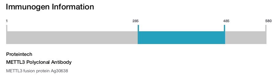 METTL3 Polyclonal Antibody