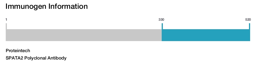 SPATA2 Polyclonal Antibody