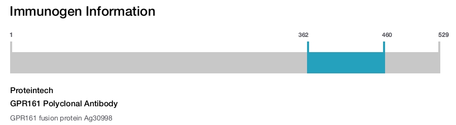 GPR161 Polyclonal Antibody