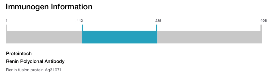 Renin Polyclonal Antibody