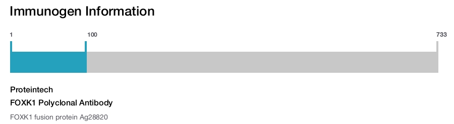 FOXK1 Polyclonal Antibody