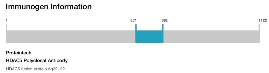 HDAC5 Polyclonal Antibody