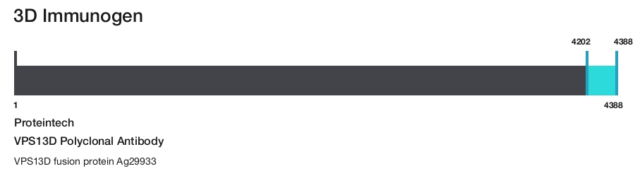 VPS13D Polyclonal Antibody