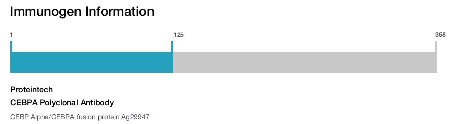 CEBPA Polyclonal Antibody