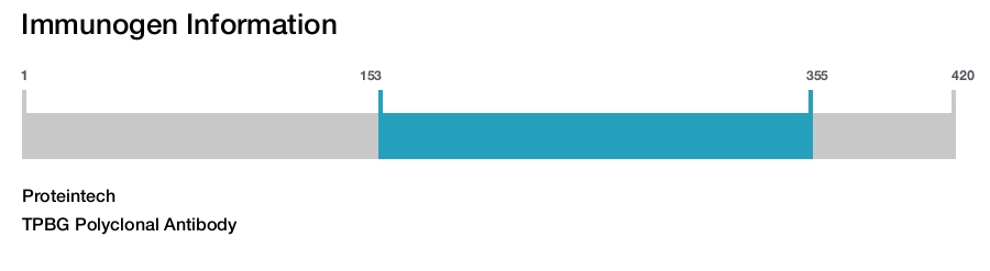 TPBG Polyclonal Antibody