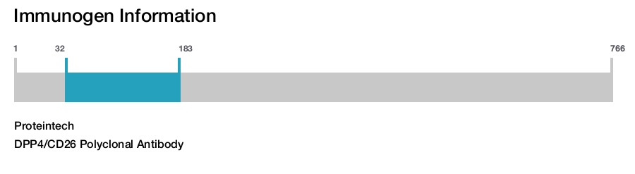 DPP4/CD26 Polyclonal Antibody