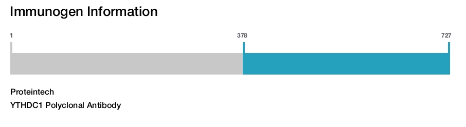 YTHDC1 Polyclonal Antibody