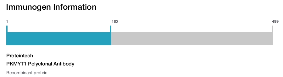 PKMYT1 Polyclonal Antibody