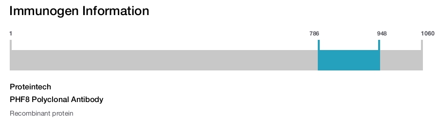 PHF8 Polyclonal Antibody