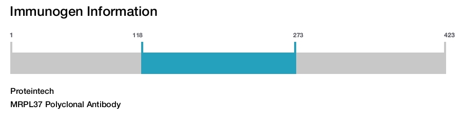 MRPL37 Polyclonal Antibody