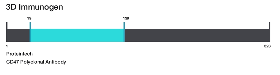 CD47 Polyclonal Antibody