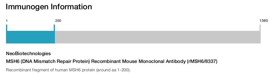 MSH6 (DNA Mismatch Repair Protein) Recombinant Mouse Monoclonal Antibody (rMSH6/8337)