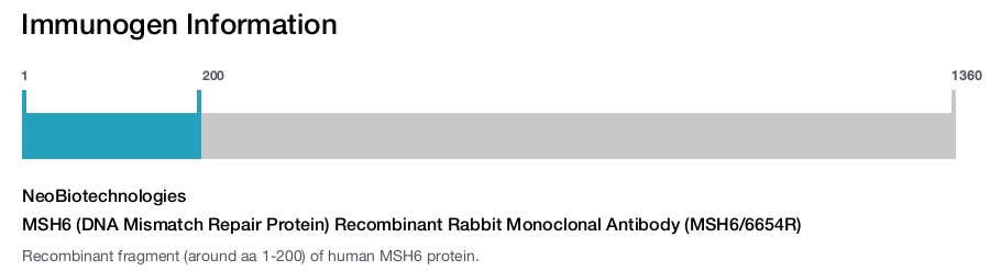 MSH6 (DNA Mismatch Repair Protein) Recombinant Rabbit Monoclonal Antibody (MSH6/6654R)