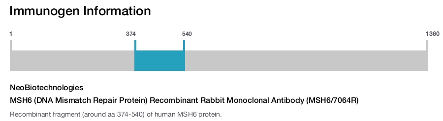 MSH6 (DNA Mismatch Repair Protein) Recombinant Rabbit Monoclonal Antibody (MSH6/7064R)