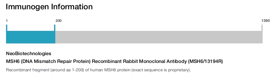 MSH6 (DNA Mismatch Repair Protein) Recombinant Rabbit Monoclonal Antibody (MSH6/13194R)