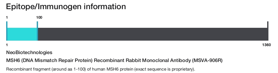 MSH6 (DNA Mismatch Repair Protein) Recombinant Rabbit Monoclonal Antibody (MSVA-906R)