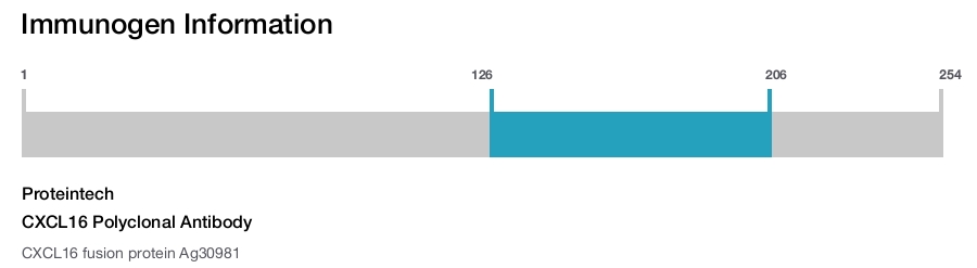 CXCL16 Polyclonal Antibody