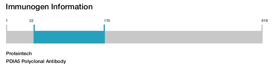 PDIA5 Polyclonal Antibody