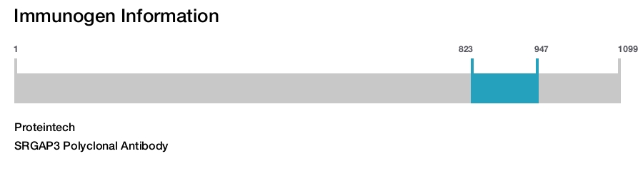 SRGAP3 Polyclonal Antibody