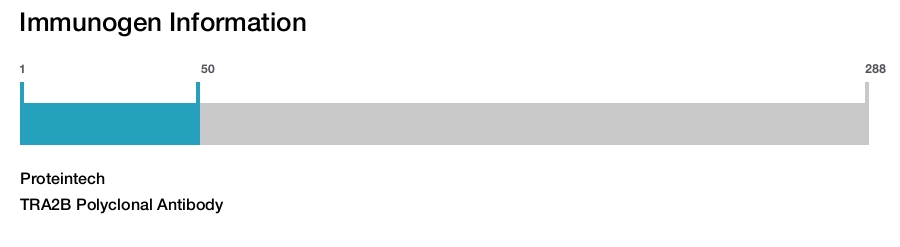 TRA2B Polyclonal Antibody