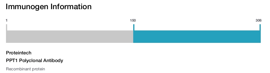 PPT1 Polyclonal Antibody