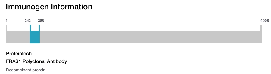 FRAS1 Polyclonal Antibody