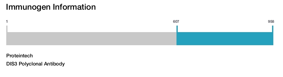 DIS3 Polyclonal Antibody