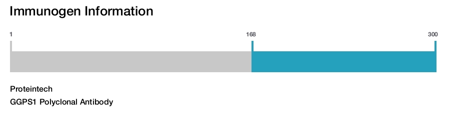 GGPS1 Polyclonal Antibody