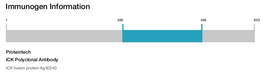 ICK Polyclonal Antibody
