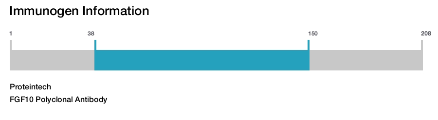 FGF10 Polyclonal Antibody