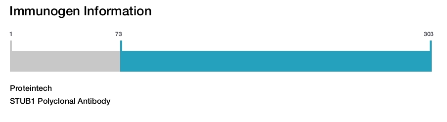 STUB1 Polyclonal Antibody