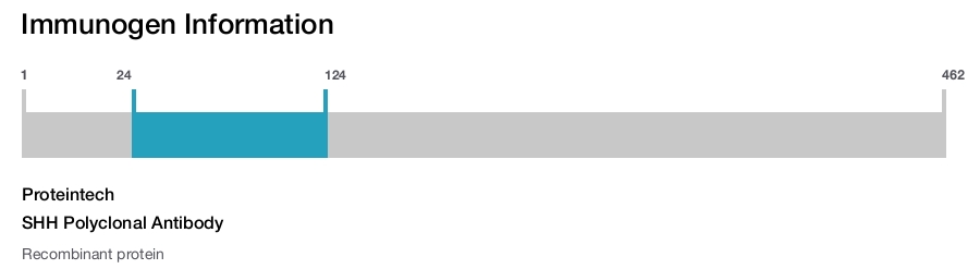 SHH Polyclonal Antibody