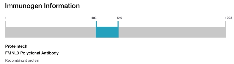 FMNL3 Polyclonal Antibody