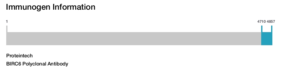 BIRC6 Polyclonal Antibody