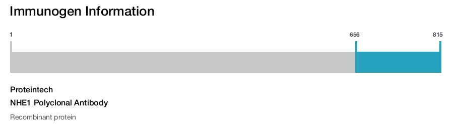 NHE1 Polyclonal Antibody