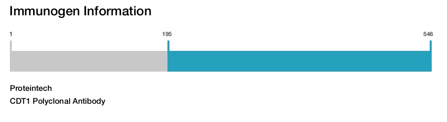 CDT1 Polyclonal Antibody