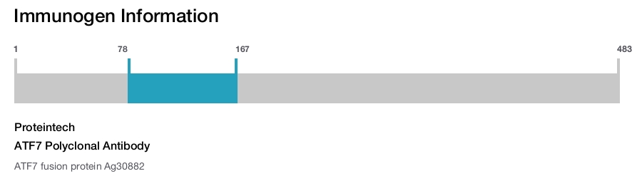 ATF7 Polyclonal Antibody