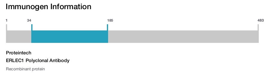 ERLEC1 Polyclonal Antibody