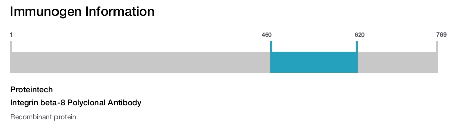 Integrin beta-8 Polyclonal Antibody